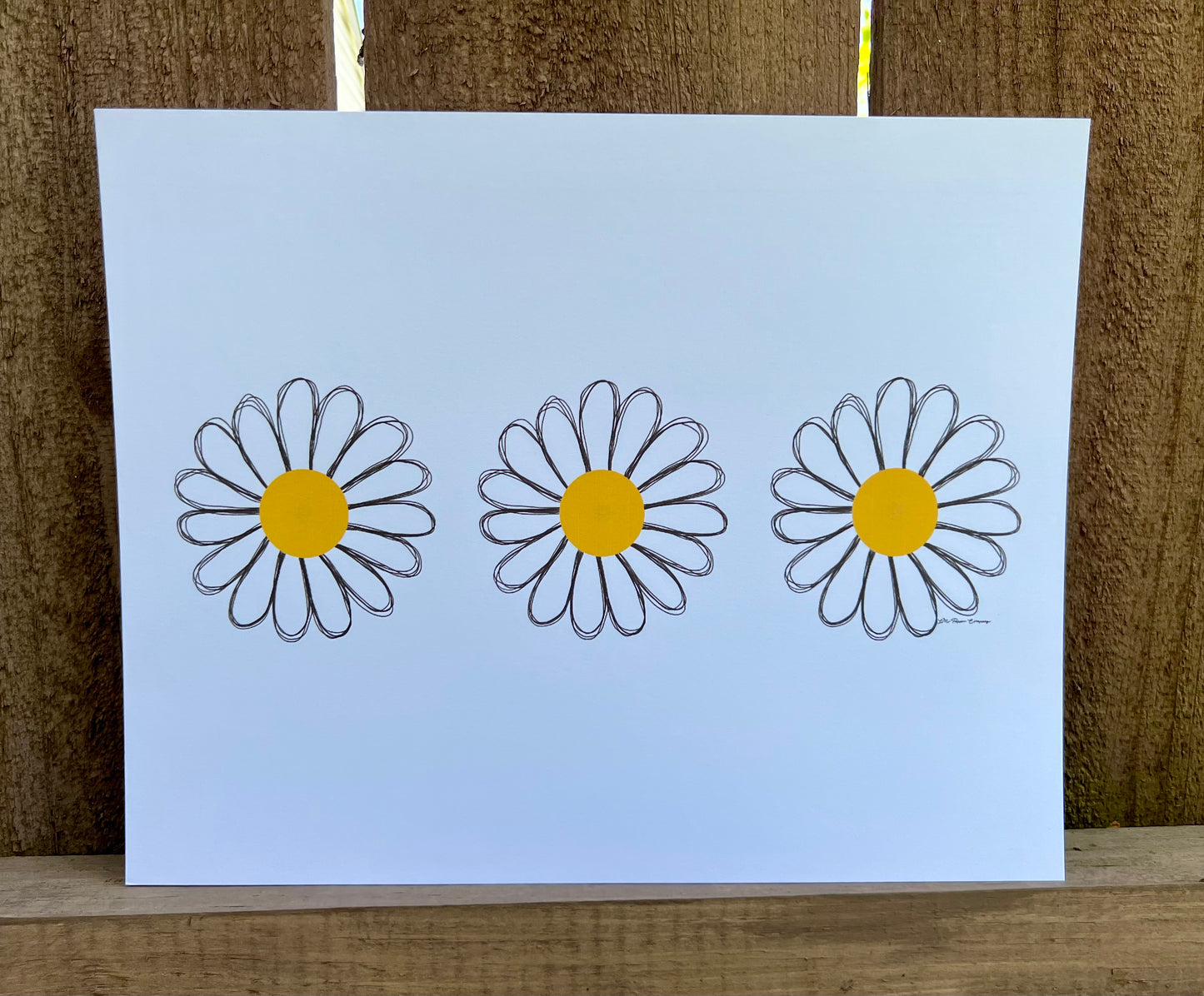 Triple Daisy Print